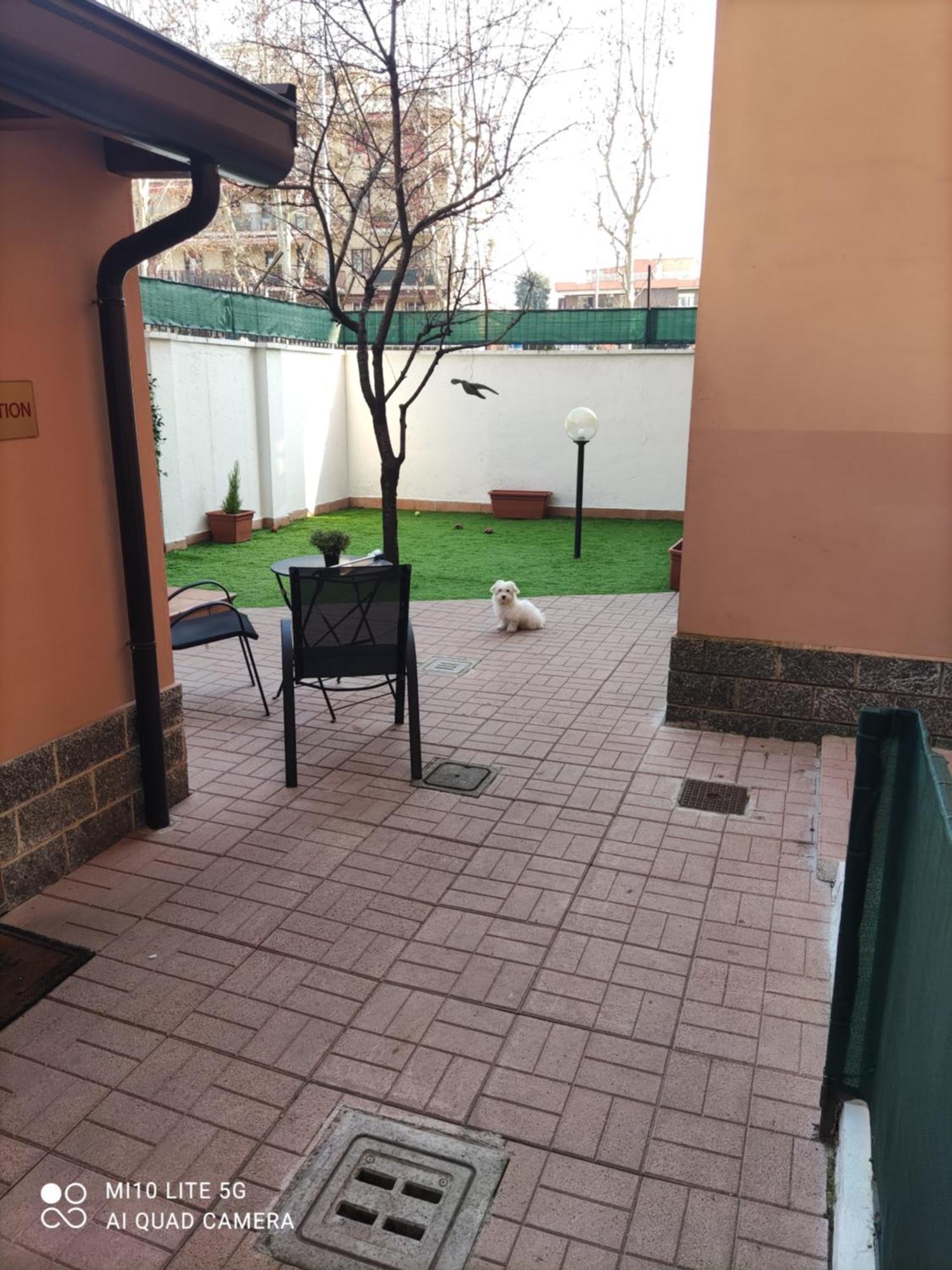 צ'זאנו בוסקונה Hostal D'Annunzio House מראה חיצוני תמונה